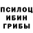 Псилоцибиновые грибы GOLDEN TEACHER Victor Shamanov