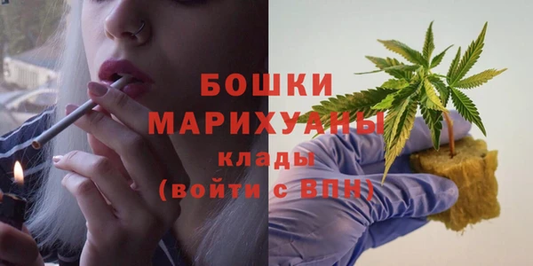 ПСИЛОЦИБИНОВЫЕ ГРИБЫ Баксан