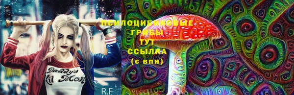 ПСИЛОЦИБИНОВЫЕ ГРИБЫ Баксан